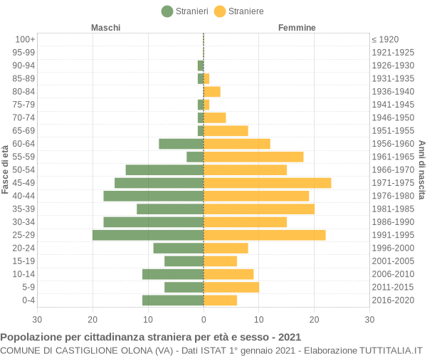 Grafico cittadini stranieri - Castiglione Olona 2021