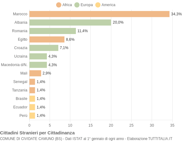 Grafico cittadinanza stranieri - Cividate Camuno 2004