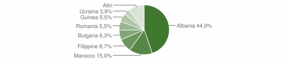 Grafico cittadinanza stranieri - Lomello 2007