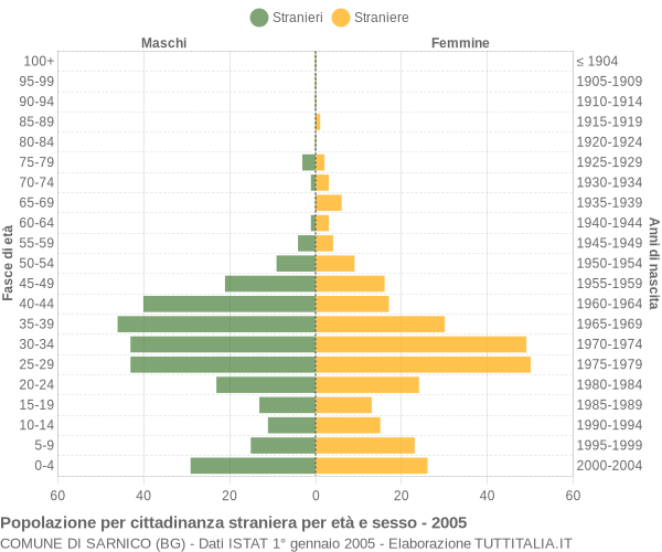 Grafico cittadini stranieri - Sarnico 2005