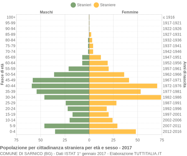 Grafico cittadini stranieri - Sarnico 2017