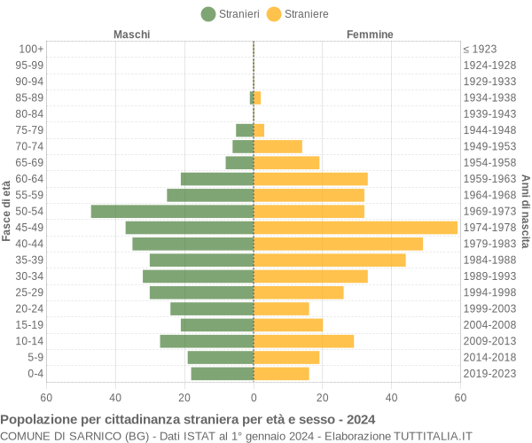 Grafico cittadini stranieri - Sarnico 2024