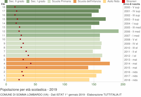 Grafico Popolazione in età scolastica - Somma Lombardo 2019