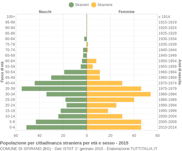 Grafico cittadini stranieri - Spirano 2015