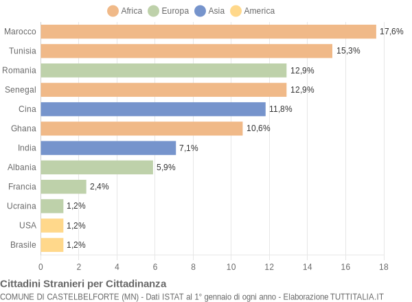 Grafico cittadinanza stranieri - Castelbelforte 2004