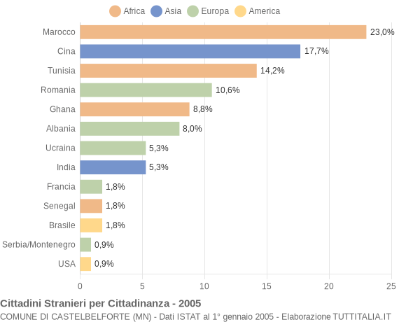 Grafico cittadinanza stranieri - Castelbelforte 2005