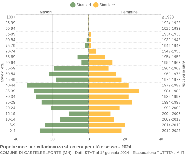 Grafico cittadini stranieri - Castelbelforte 2024