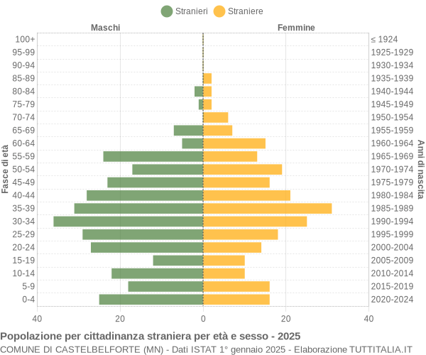 Grafico cittadini stranieri - Castelbelforte 2025