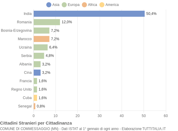 Grafico cittadinanza stranieri - Commessaggio 2013