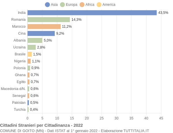 Grafico cittadinanza stranieri - Goito 2022