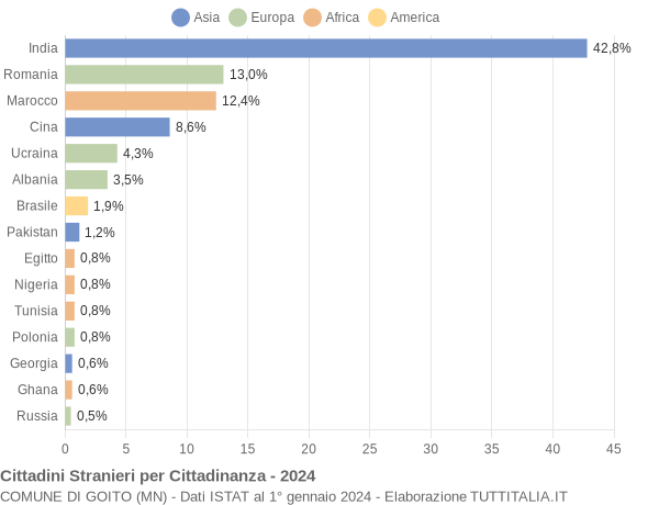 Grafico cittadinanza stranieri - Goito 2024