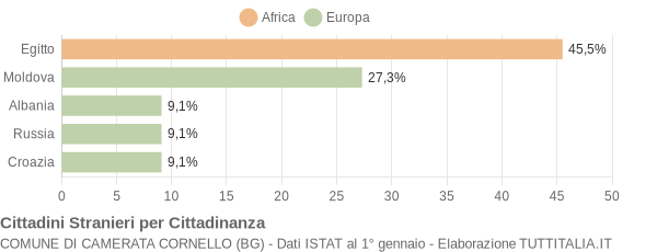 Grafico cittadinanza stranieri - Camerata Cornello 2009