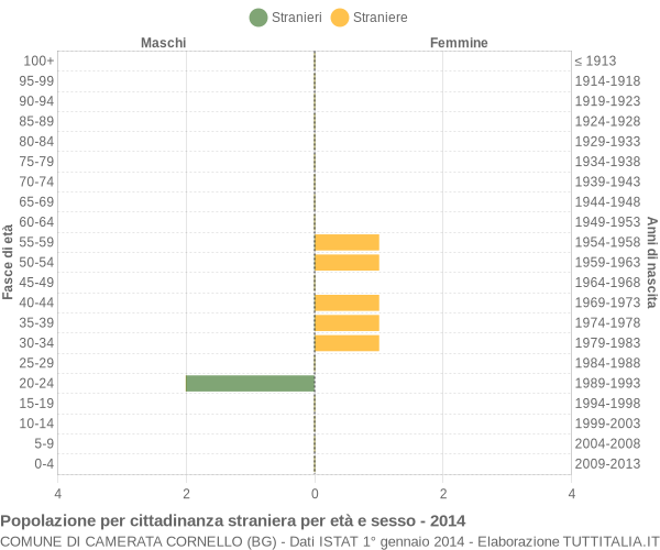 Grafico cittadini stranieri - Camerata Cornello 2014