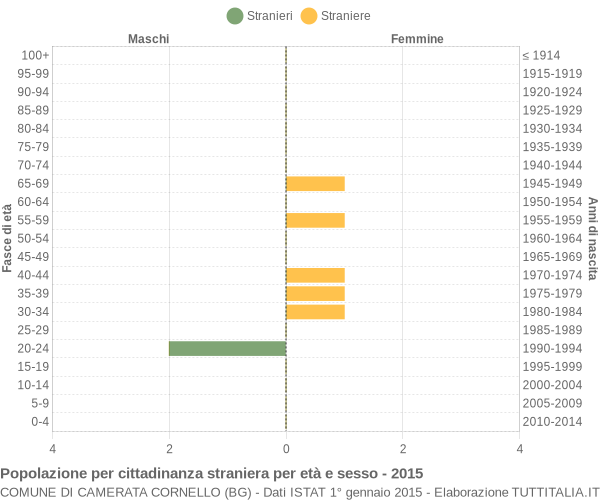 Grafico cittadini stranieri - Camerata Cornello 2015