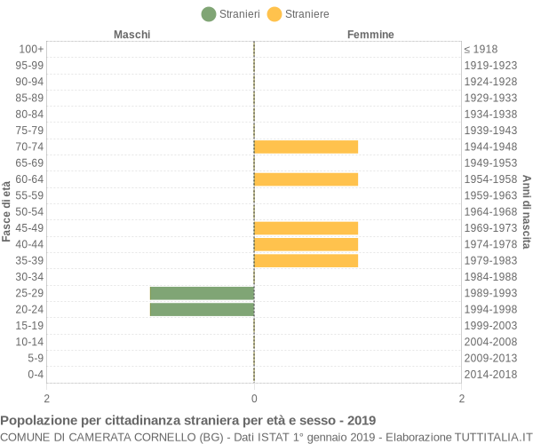 Grafico cittadini stranieri - Camerata Cornello 2019