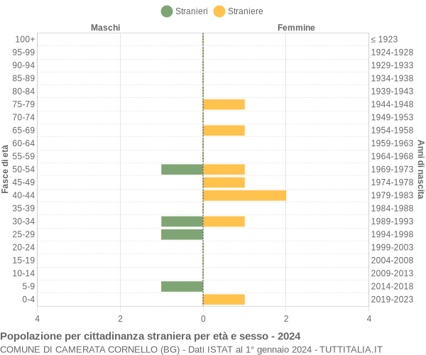 Grafico cittadini stranieri - Camerata Cornello 2024