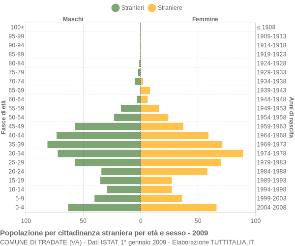 Grafico cittadini stranieri - Tradate 2009