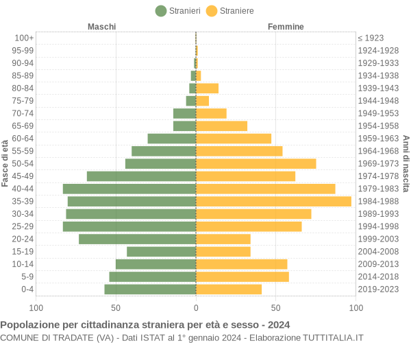 Grafico cittadini stranieri - Tradate 2024