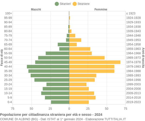 Grafico cittadini stranieri - Albino 2024