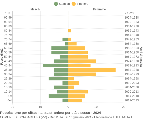 Grafico cittadini stranieri - Borgarello 2024