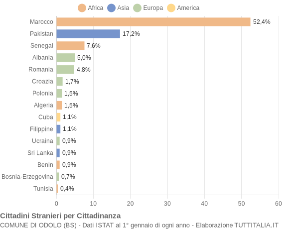 Grafico cittadinanza stranieri - Odolo 2010