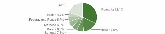 Grafico cittadinanza stranieri - Pinarolo Po 2013