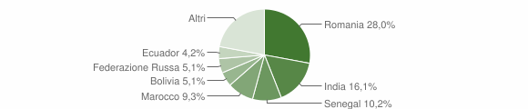 Grafico cittadinanza stranieri - Pinarolo Po 2015