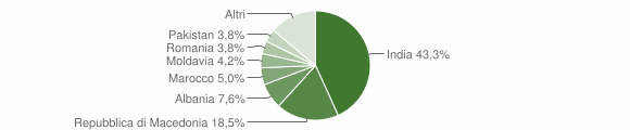 Grafico cittadinanza stranieri - Pomponesco 2013