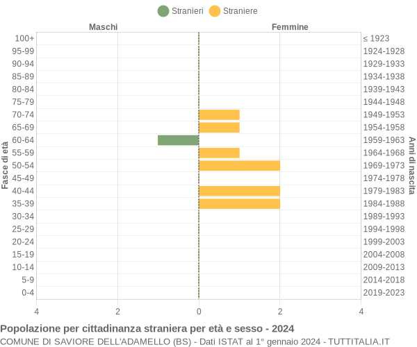 Grafico cittadini stranieri - Saviore dell'Adamello 2024