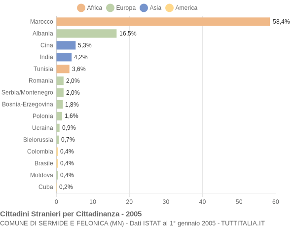 Grafico cittadinanza stranieri - Sermide e Felonica 2005