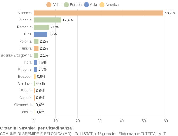 Grafico cittadinanza stranieri - Sermide e Felonica 2010