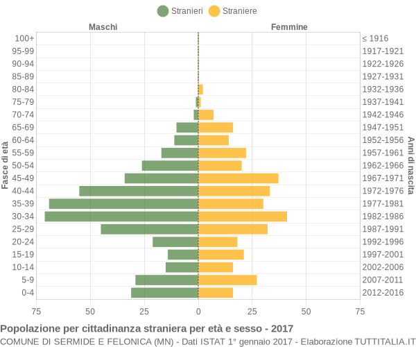 Grafico cittadini stranieri - Sermide e Felonica 2017