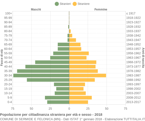 Grafico cittadini stranieri - Sermide e Felonica 2018