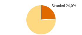 Percentuale cittadini stranieri Comune di Verdellino (BG)