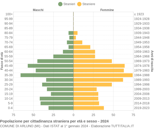 Grafico cittadini stranieri - Arluno 2024