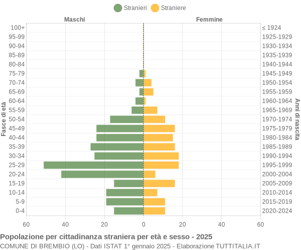 Grafico cittadini stranieri - Brembio 2025
