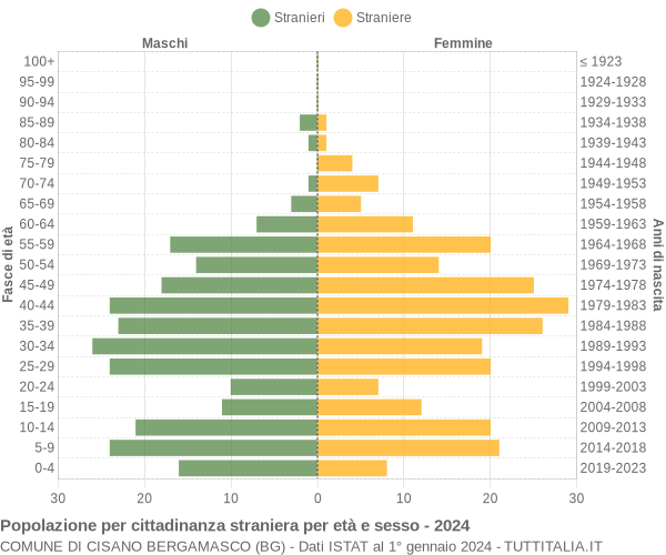 Grafico cittadini stranieri - Cisano Bergamasco 2024