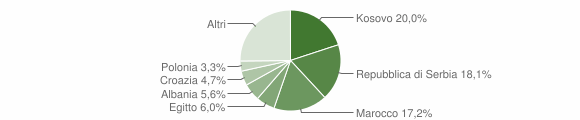 Grafico cittadinanza stranieri - Primaluna 2011