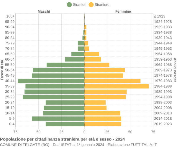 Grafico cittadini stranieri - Telgate 2024