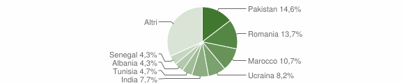 Grafico cittadinanza stranieri - Brusaporto 2013