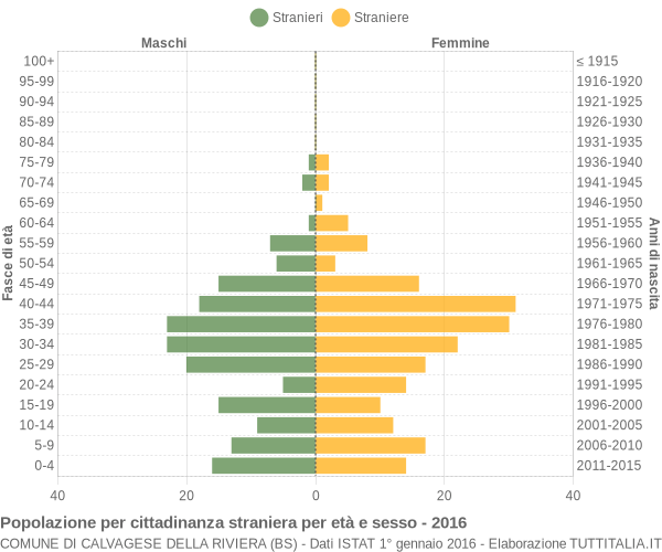 Grafico cittadini stranieri - Calvagese della Riviera 2016