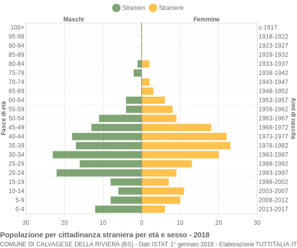 Grafico cittadini stranieri - Calvagese della Riviera 2018