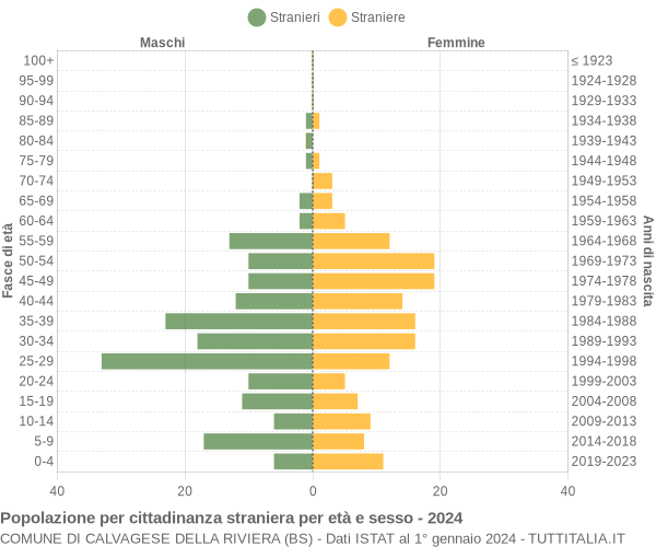 Grafico cittadini stranieri - Calvagese della Riviera 2024