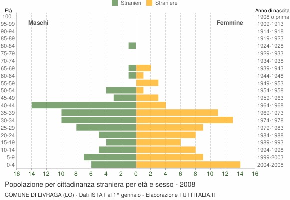 Grafico cittadini stranieri - Livraga 2008