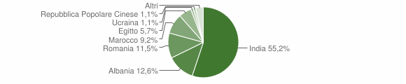 Grafico cittadinanza stranieri - Pieve d'Olmi 2009