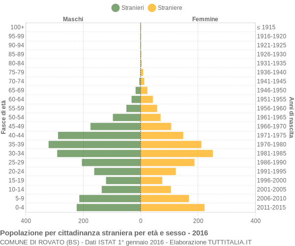 Grafico cittadini stranieri - Rovato 2016