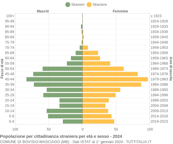 Grafico cittadini stranieri - Bovisio-Masciago 2024