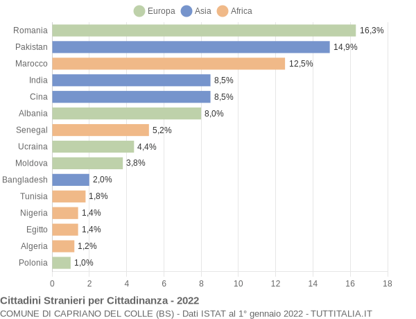 Grafico cittadinanza stranieri - Capriano del Colle 2022