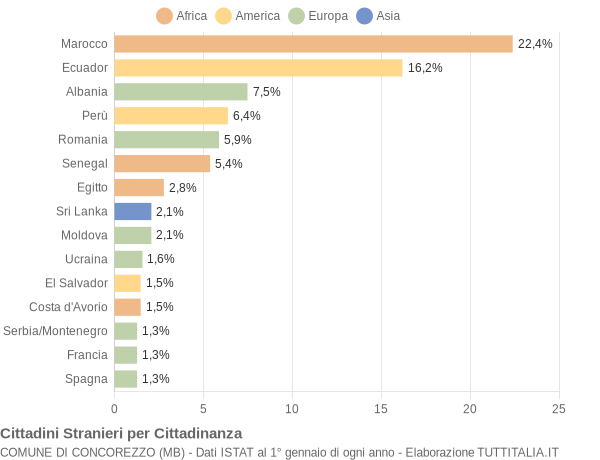 Grafico cittadinanza stranieri - Concorezzo 2005