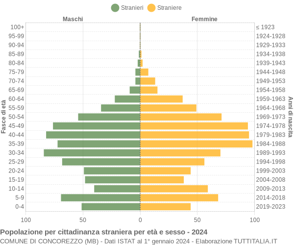 Grafico cittadini stranieri - Concorezzo 2024